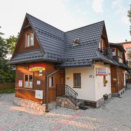 Wesola Chatka Zakopane - Krupowki 37A -Centrum Экстерьер фото